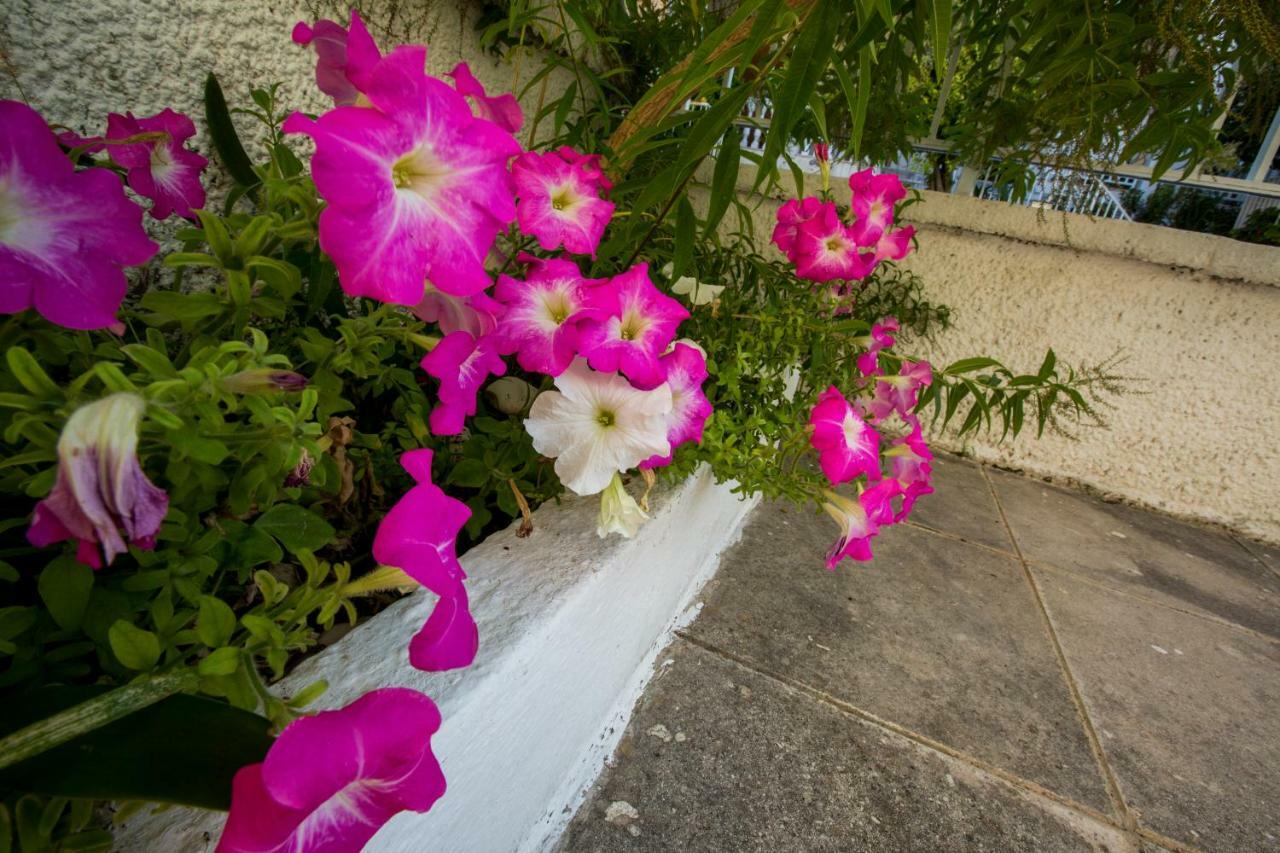 Marietta'S Townhouse Villa อาร์กอสโตลี ภายนอก รูปภาพ
